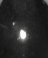 weathercam