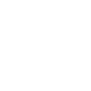 Government